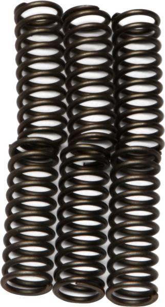 EBC - CLUTCH SPRINGS - Image 1