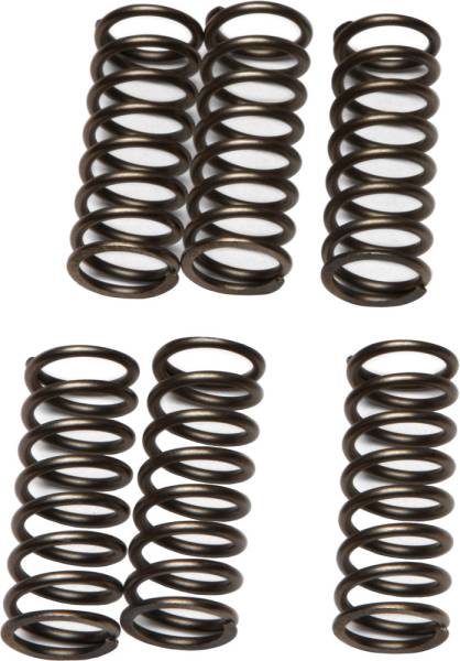 EBC - CLUTCH SPRINGS - Image 1