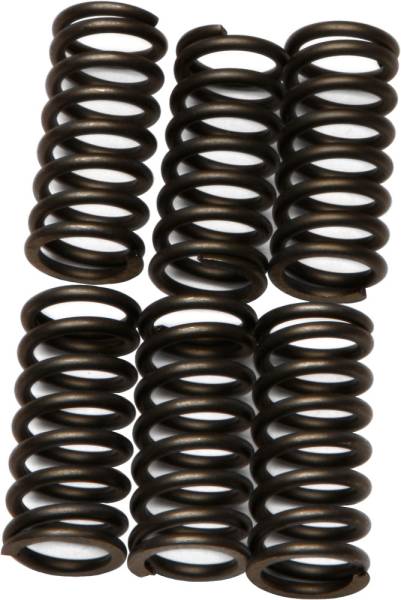 EBC - CLUTCH SPRINGS - Image 1