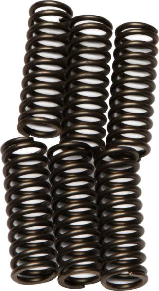 EBC - CLUTCH SPRINGS - Image 1