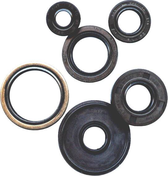 VERTEX - OIL SEAL KIT DIRT - Image 1