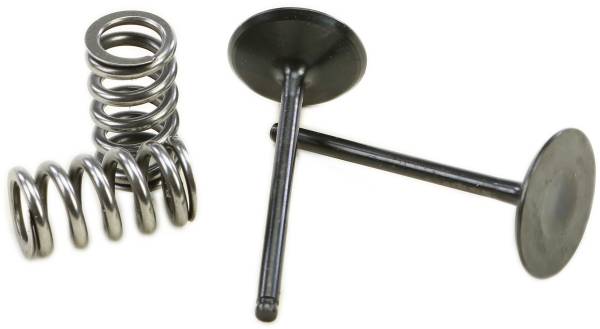 PROX - INTAKE VALVE CONVERSION SET TI-STEEL YAM - Image 1