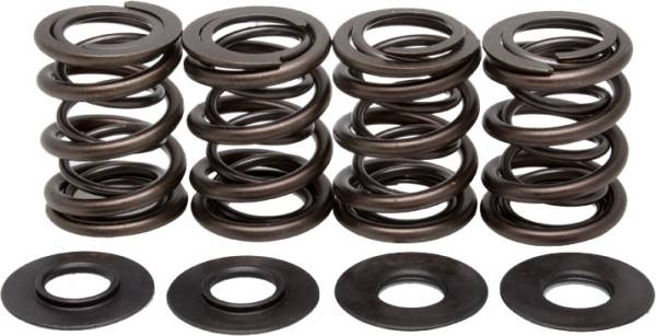 KPMI - RACING VALVE SPRING KIT - Image 1