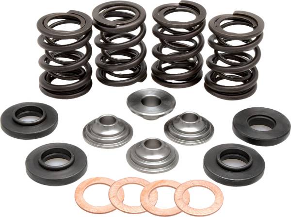 KPMI - RACING VALVE SPRING KIT - Image 1