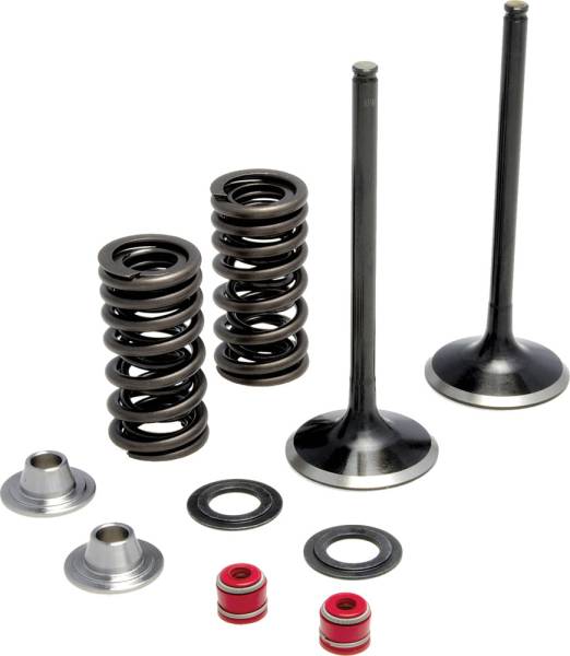 KPMI - INTAKE VALVE SPRING KIT - Image 1