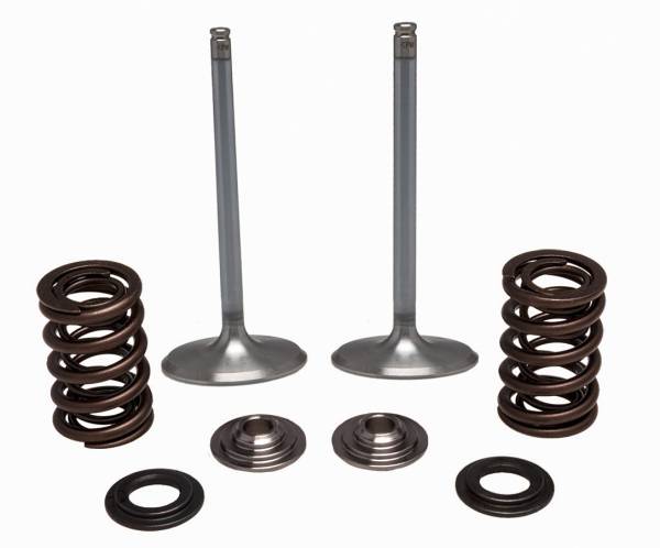 KPMI - SS INTAKE VALVE/SPRING KIT - Image 1