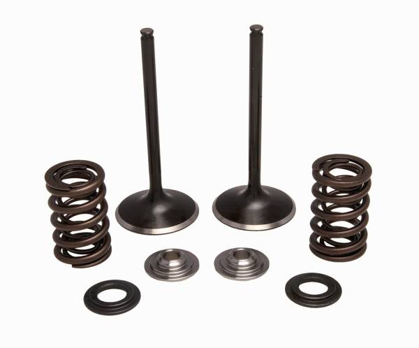 KPMI - INTAKE VALVE/SPRING KIT STAINLESS - Image 1