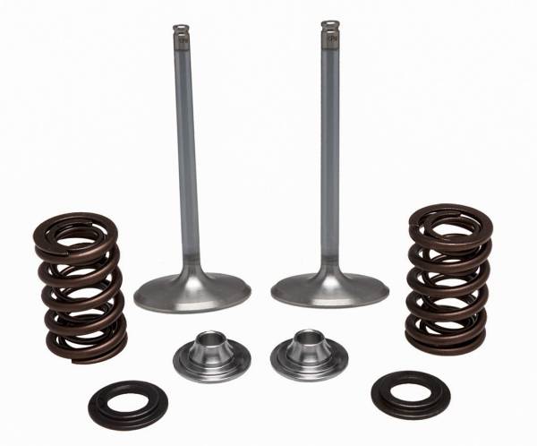 KPMI - SS INTAKE VALVE/SPRING KIT - Image 1