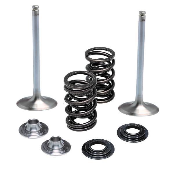 KPMI - INTAKE VALVE/SPRING KIT .450" LIFT - Image 1