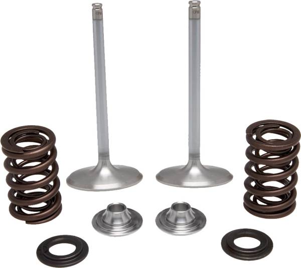 KPMI - INTAKE VALVE SPRING KIT - Image 1