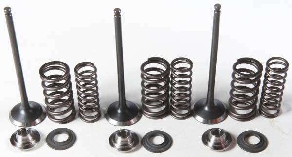 KPMI - INTAKE VALVE/SPRING KIT STAINLESS STEEL - Image 1