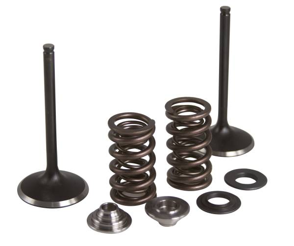 KPMI - INTAKE VALVE/SPRING KIT STAINLESS STEEL YAM - Image 1