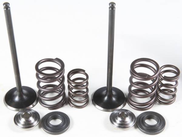 KPMI - INTAKE VALVE/SPRING KIT STAINLESS STEEL - Image 1