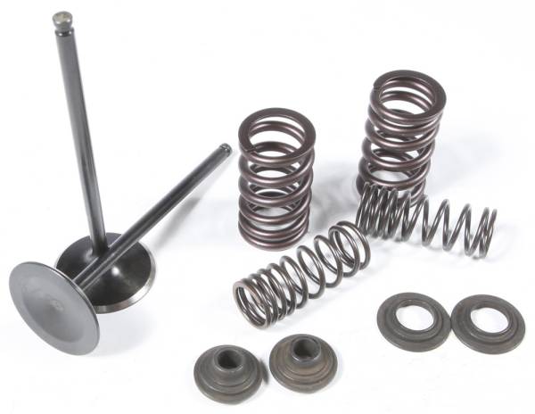 KPMI - INTAKE VALVE/SPRING KIT STAINLESS STEEL - Image 1