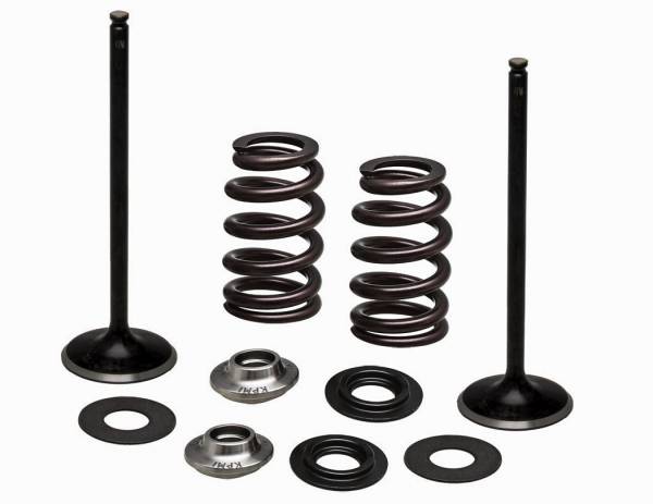 KPMI - SS INTAKE VALVE/SPRING KIT - Image 1