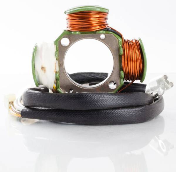 RICKS - STATOR - Image 1