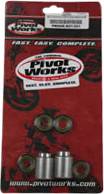 PIVOT WORKS - SWINGARM KIT - Image 1