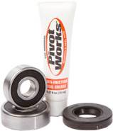 PIVOT WORKS - REAR WHEEL BEARING KIT - Image 1