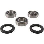 PIVOT WORKS - REAR WHEEL BEARING KIT - Image 1