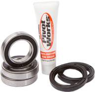 PIVOT WORKS - REAR WHEEL BEARING KIT - Image 1