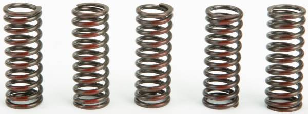 PRO CIRCUIT - CLUTCH SPRINGS - Image 1