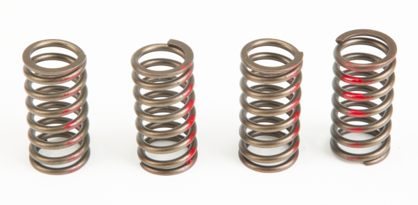 PRO CIRCUIT - CLUTCH SPRINGS - Image 1