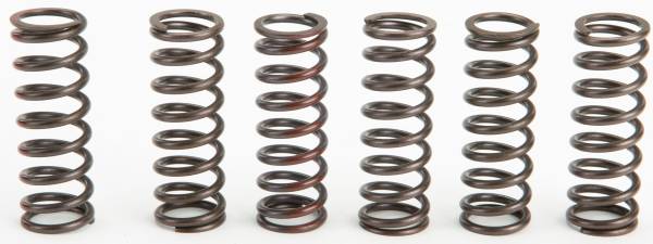 PRO CIRCUIT - CLUTCH SPRINGS - Image 1