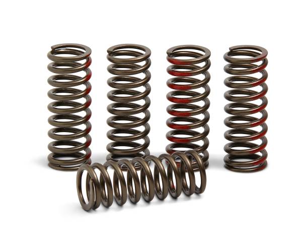 PRO CIRCUIT - P/C CLUTCH SPRINGS CRF250R '18 - Image 1