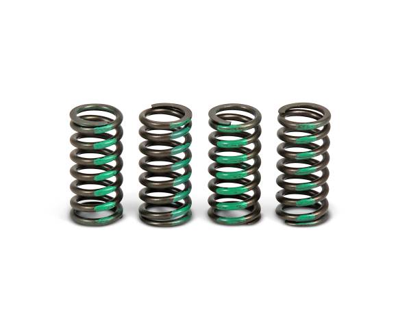 PRO CIRCUIT - CLUTCH SPRINGS - Image 1