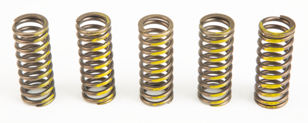 PRO CIRCUIT - CLUTCH SPRINGS - Image 1