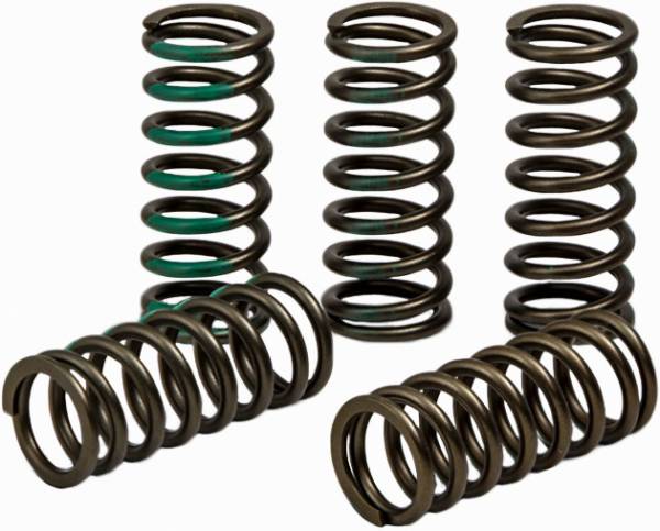 PRO CIRCUIT - CLUTCH SPRING KAW - Image 1