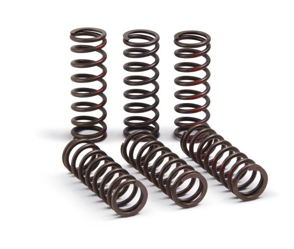 PRO CIRCUIT - CLUTCH SPRINGS PRO CIRCUIT - Image 1