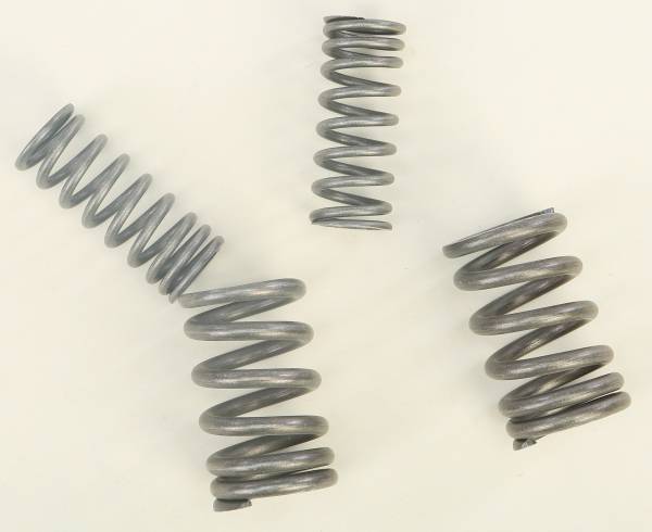 BBR - HD VALVE SPRINGS - Image 1