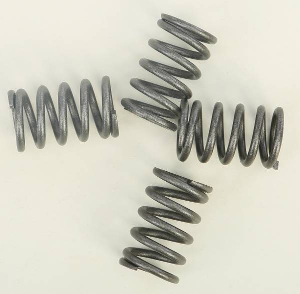 BBR - HD CLUTCH SPRINGS - Image 1