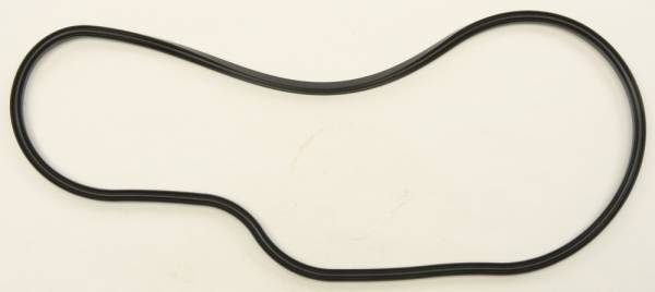 SP1 - CHAINCASE GASKET POL - Image 1