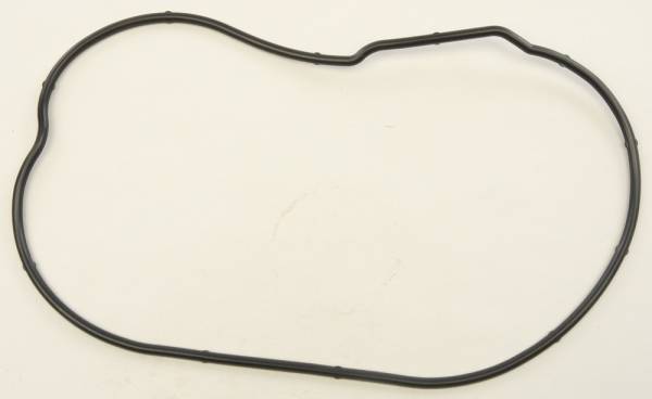 SP1 - CHAINCASE GASKET POL - Image 1