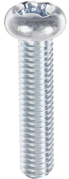 BOLT - PAN HEAD PHILLIPS SCREW 6X1.0X30MM 10/PK - Image 1