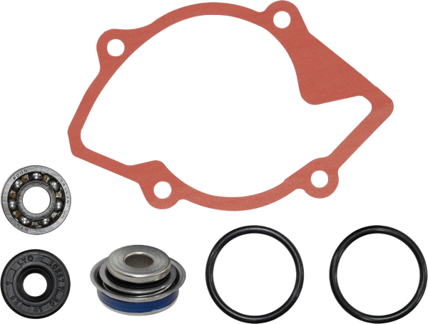 SP1 - WATER PUMP REPAIR KIT S-D - Image 1