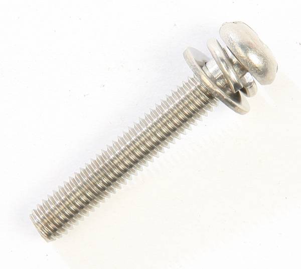 MIKUNI - STAINLESS SCREW W/2 WASHERS 30 MM - Image 1