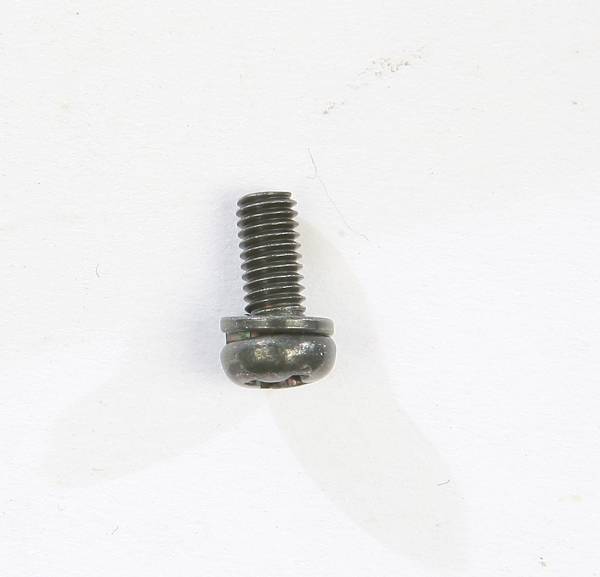 MIKUNI - SCREW W/WASHER - Image 1