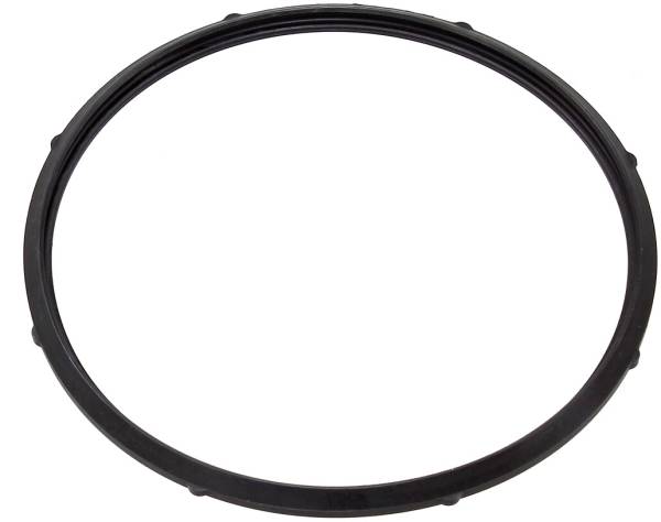 SP1 - FUEL PUMP SEAL YAM - Image 1