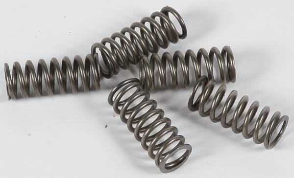 EBC - CLUTCH SPRINGS CSK101 - Image 1