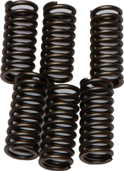 EBC - CLUTCH SPRINGS CSK102 - Image 1