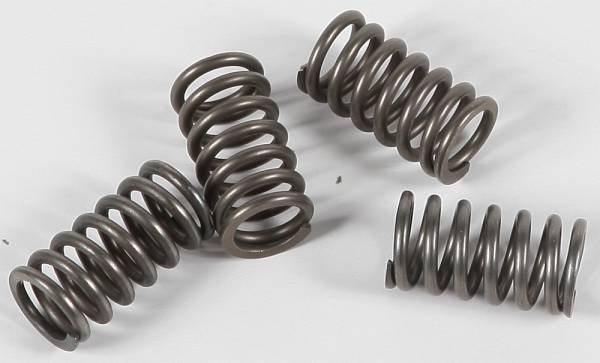 EBC - CLUTCH SPRINGS CSK106 - Image 1