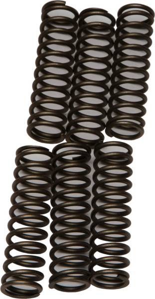 EBC - CLUTCH SPRINGS CSK109 - Image 1