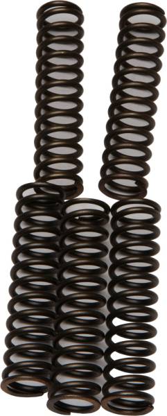 EBC - CLUTCH SPRINGS CSK110 - Image 1