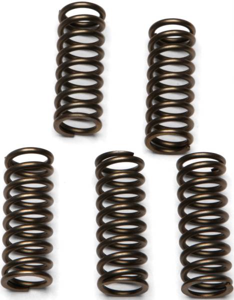 EBC - CLUTCH SPRINGS CSK112 - Image 1