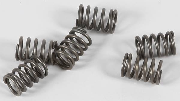 EBC - CLUTCH SPRINGS CSK114 - Image 1