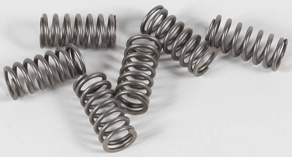 EBC - CLUTCH SPRINGS CSK117 - Image 1