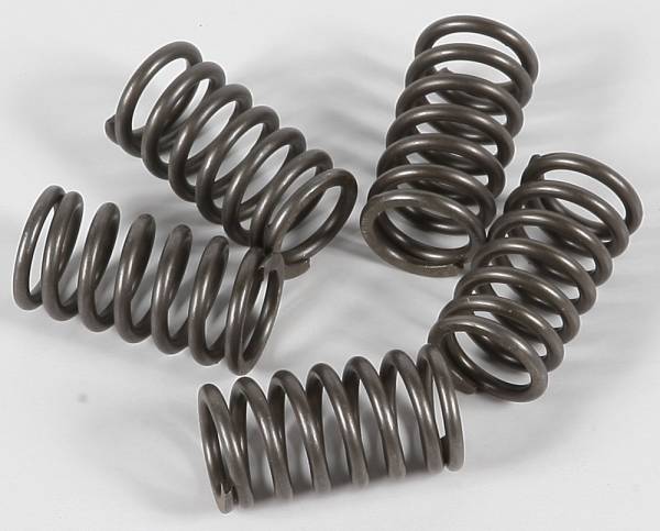 EBC - CLUTCH SPRINGS CSK118 - Image 1